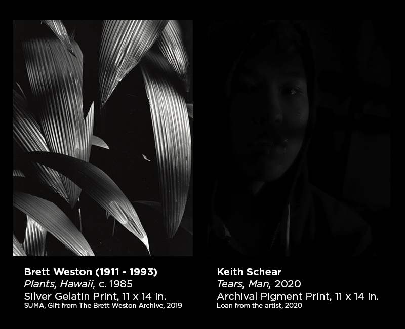 Weston and Schear photography 22
