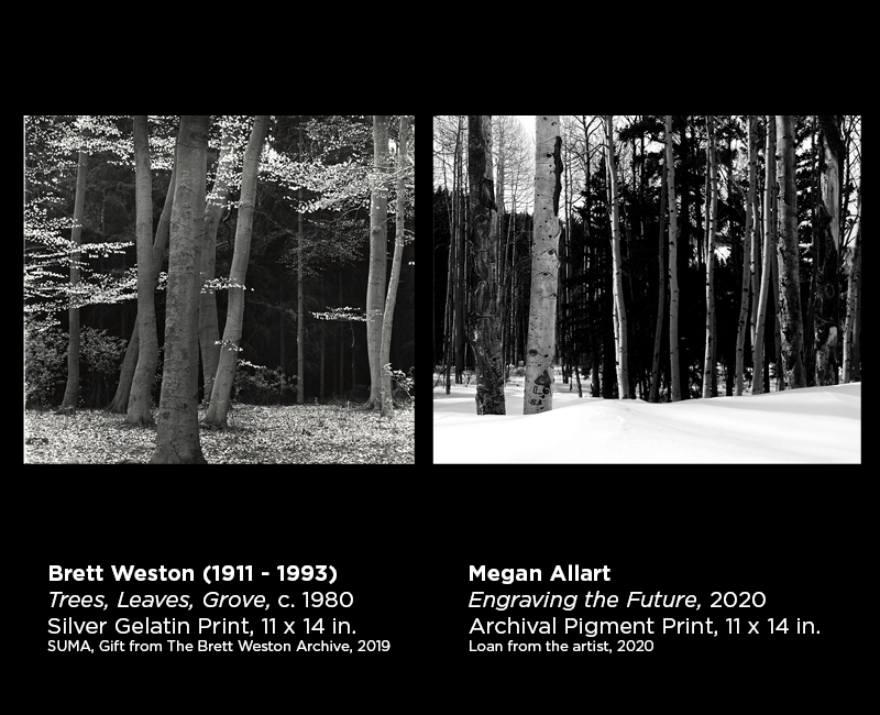 Weston and Allart photography 23