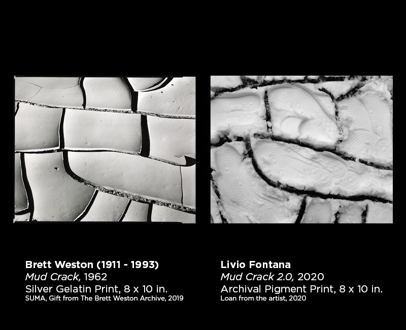 Weston and Fontana photography 30
