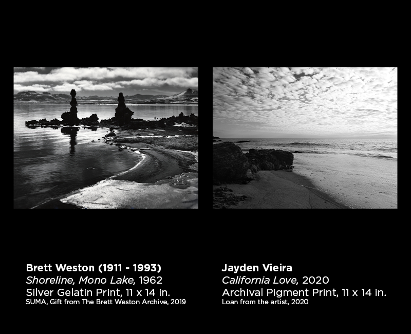 Weston and Vieira photography 32