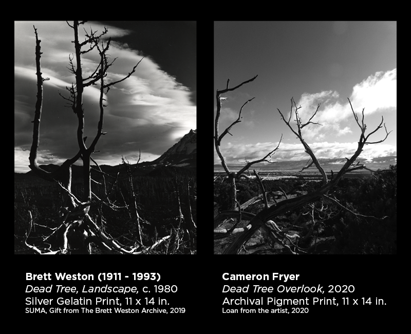 Weston and Fryer photography 34