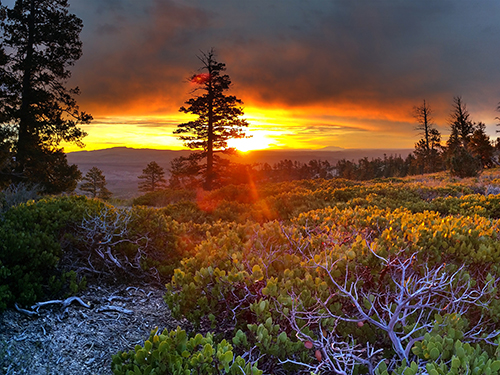 Bryce Point at Bryce Canyon National Park
