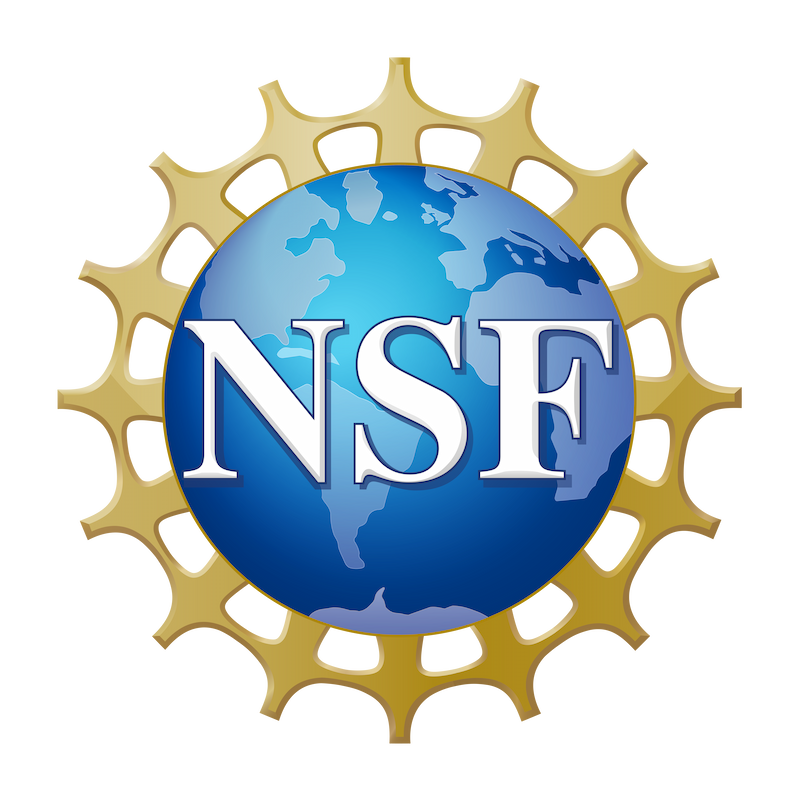NSF Official Logo