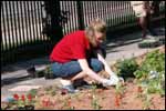 Photo: Josie planting flowers