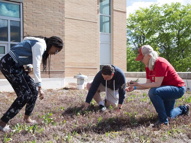 students and faculty on green roof at SUU