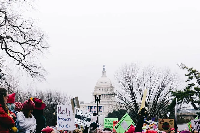 A large crowd of protesters gather on an overcast day