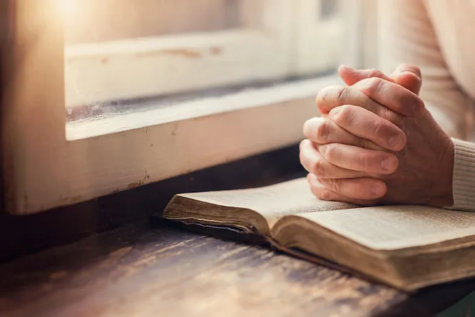 A close-up of hands resting atop a book. Sunlight shines in from a window in the background.