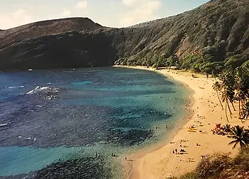 A sprawling aerial view of a beach in Hawaii. The ocean water is bright blue, the beach is filled with people, and palm trees are visible in the distance. A mountain is surrounding the beach and ocean, forming a cove.